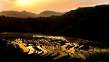 李山头田园3