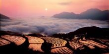 李山头田园6