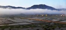 沙塘里3