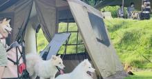 寻觅?SeekGlamping露营地8
