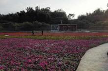 稻草农业公园3