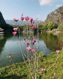 星湖旅游景区12