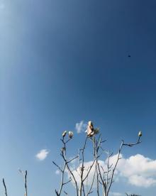 星湖旅游景区14