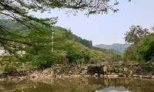 太子坑森林公园3