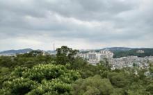 凤岭公园10