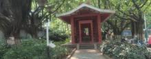 凤岭公园2