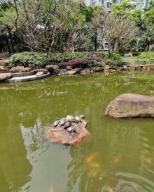 流花西苑13