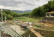 香蜜山果庄2