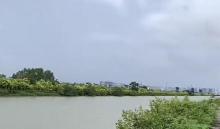 十八涌鱼村2
