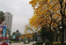仙湖度假区6