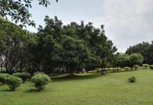 虎门公园12