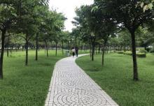 虎门公园23