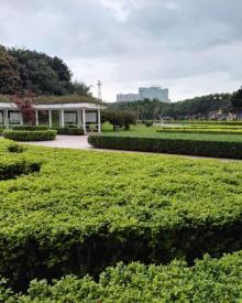 虎门公园9