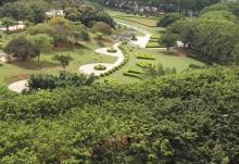 虎门公园7