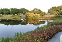 广州会展公园15