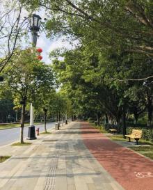科学城体育公园9