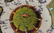 小榄菊花会18