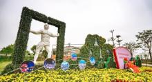 小榄菊花会20