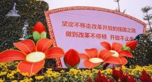 小榄菊花会23