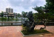 粤剧大观园4