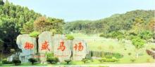 御盛国际马术庄园1