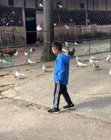 南海大湿地公园13