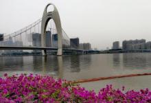 临江带状公园5