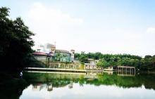 石湾公园16