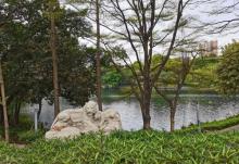 石湾公园6