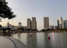 千灯湖公园北区2