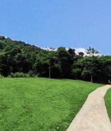 山沟沟悠闲农场6