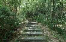 水濂山森林公园6