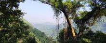 水濂山森林公园24