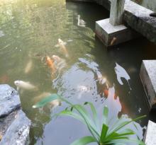 水濂山森林公园26