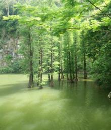 水濂山森林公园7