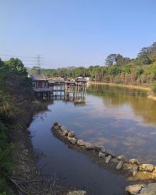 水濂山森林公园8