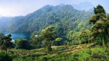 鼎湖山3