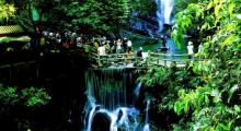 鼎湖山4