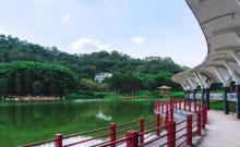 七星岗公园1