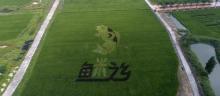 古梅生态农业园8