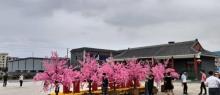 中央电视台南海影视城-拓展区北区4