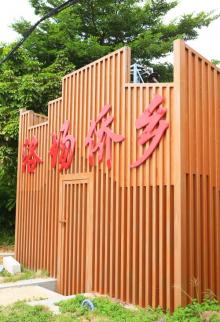 洛场村7