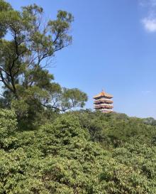 聚芳园13