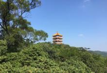 聚芳园3