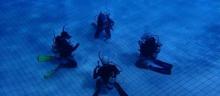 广州天河体育中心帕迪潜水体验6