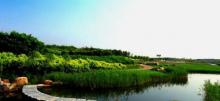 草河湿地公园4