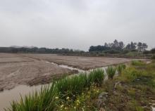 草河湿地公园3