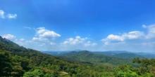 黄埔油麻山森林公园2