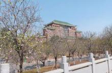 华南农业大学树木园8