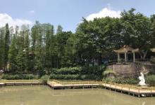 莲花山旅游区-莲花仙境8